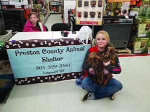 Humane Society helps Preston County Animal Shelter with spay and neuter program